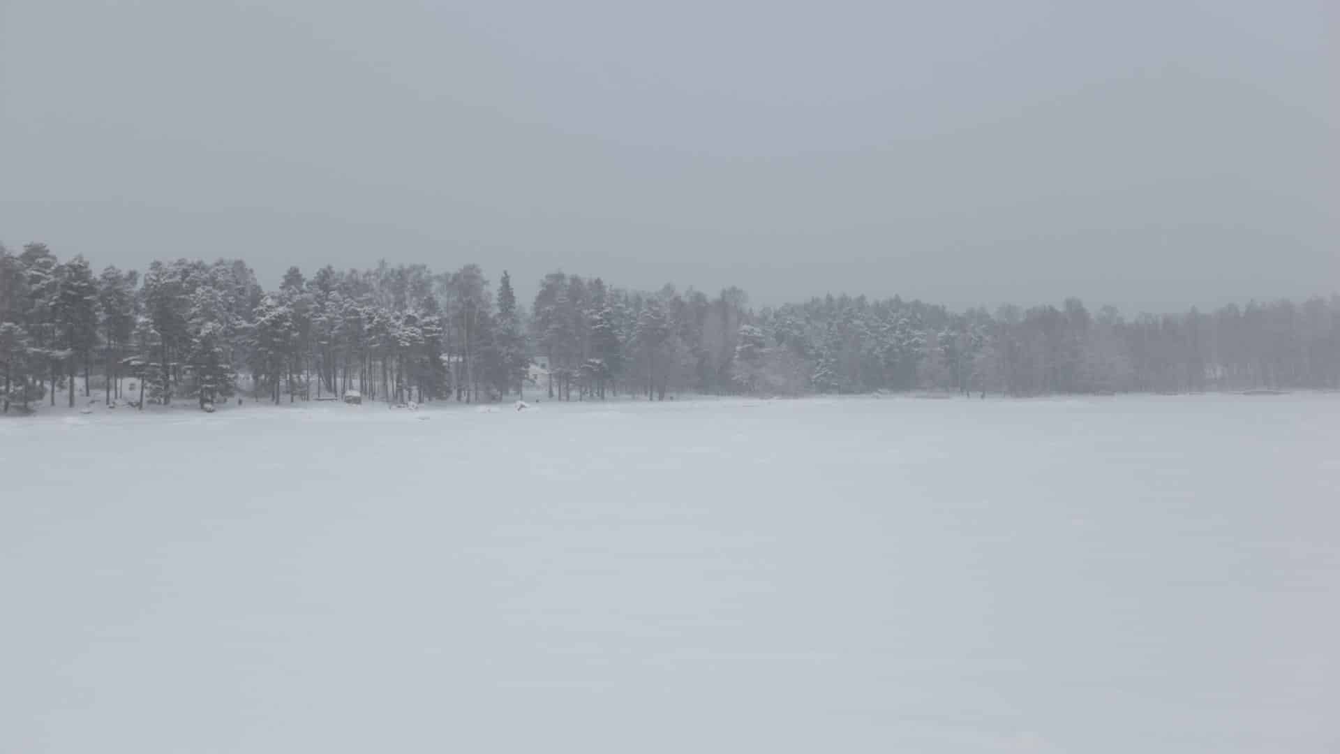 Jäätynyt järvi ja metsänreuna talvella